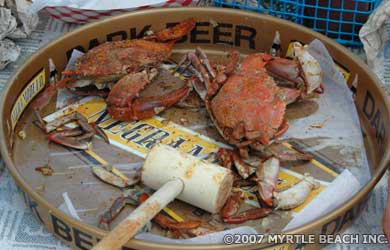 Blue Crabs at the Little River Blue Crab Festival